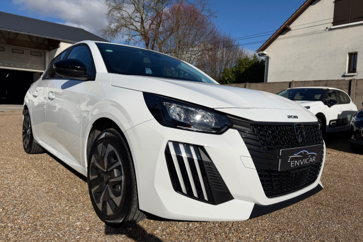 PEUGEOT 208 BUSINESS R